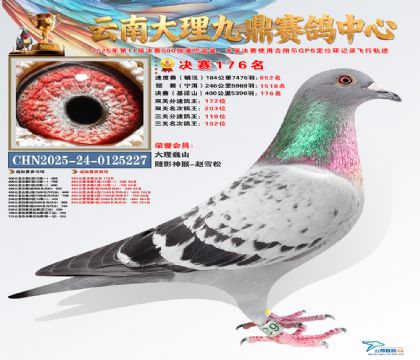 大理九鼎决赛176名