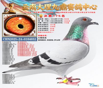 大理九鼎决赛175名