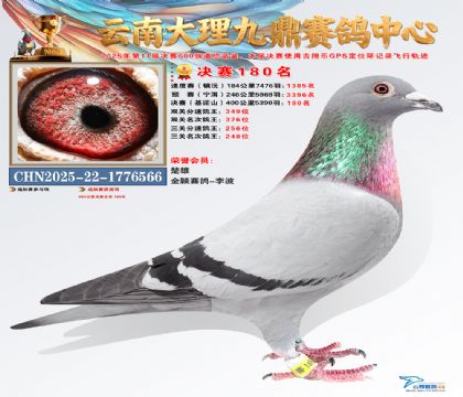 大理九鼎决赛180名