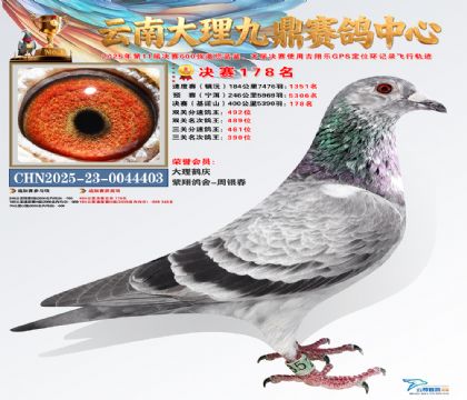 大理九鼎决赛178名