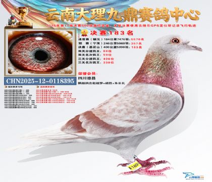 大理九鼎决赛183名