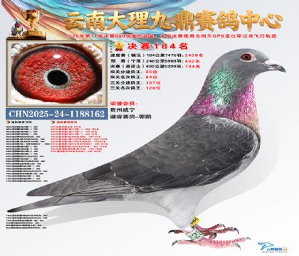 大理九鼎决赛184名