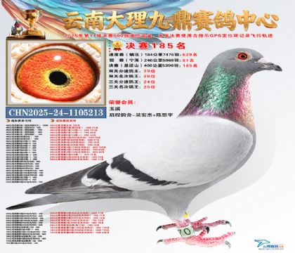 大理九鼎决赛185名