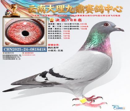 大理九鼎决赛188名