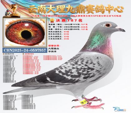 大理九鼎决赛187名