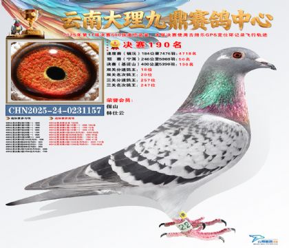 大理九鼎决赛190名