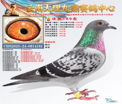 大理九鼎决赛189名