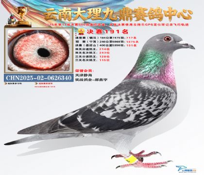 大理九鼎决赛191名