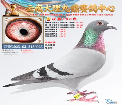 大理九鼎决赛193名