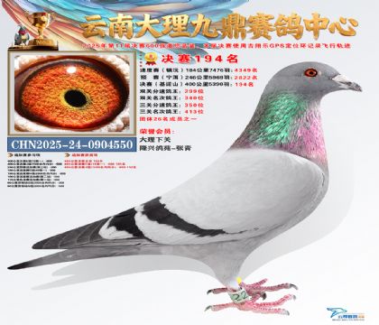 大理九鼎决赛194名