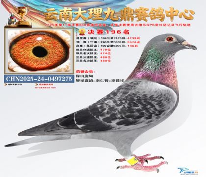 大理九鼎决赛196名