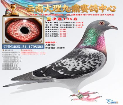 大理九鼎决赛195名