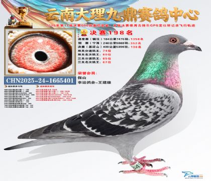 大理九鼎决赛198名