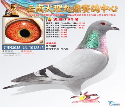 大理九鼎决赛199名