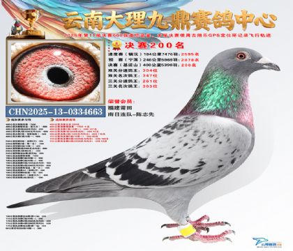 大理九鼎决赛200名