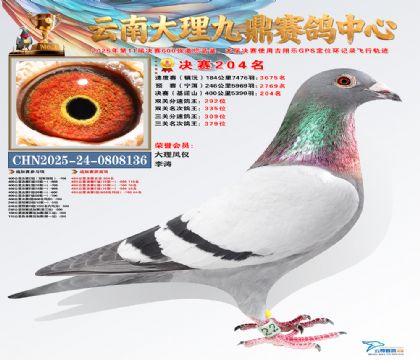 大理九鼎决赛204名