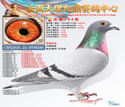 大理九鼎决赛203名