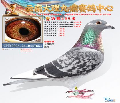 大理九鼎决赛205名