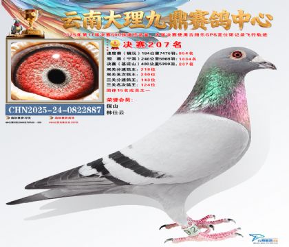 大理九鼎决赛207名