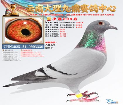 大理九鼎决赛209名