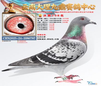 大理九鼎决赛208名