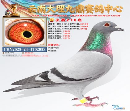 大理九鼎决赛210名