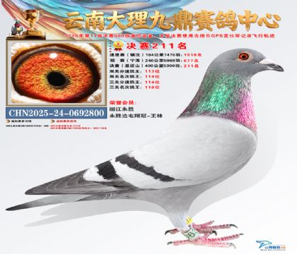 大理九鼎决赛211名