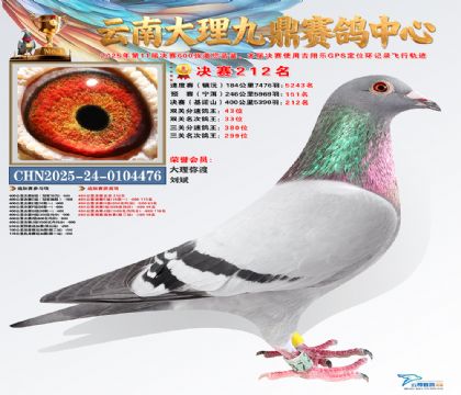 大理九鼎决赛212名