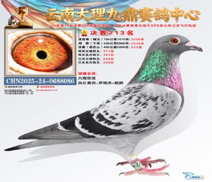 大理九鼎决赛213名