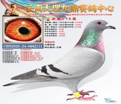 大理九鼎决赛215名