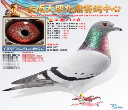 大理九鼎决赛217名