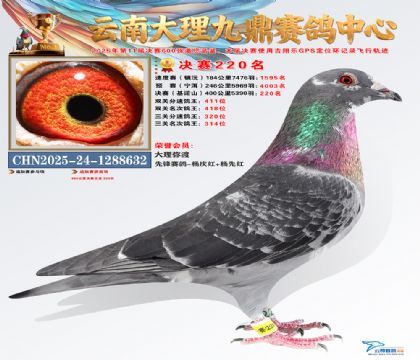 大理九鼎决赛220名