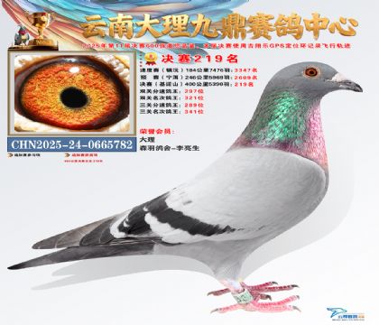 大理九鼎决赛219名