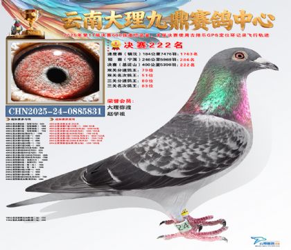 大理九鼎决赛222名