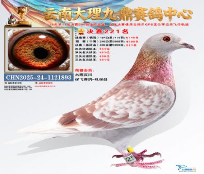 大理九鼎决赛221名