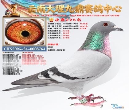 大理九鼎决赛225名