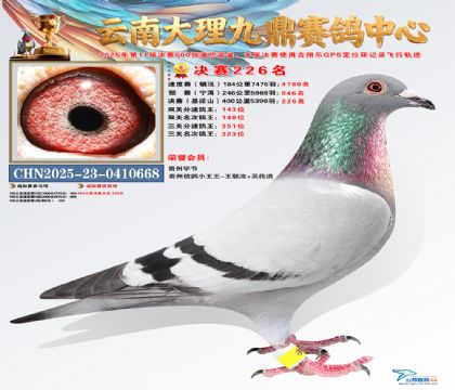 大理九鼎决赛226名