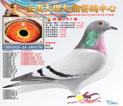 大理九鼎决赛227名