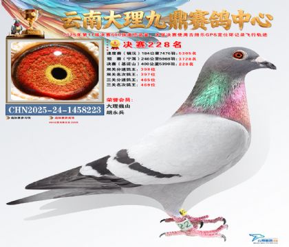 大理九鼎决赛228名