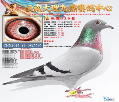 大理九鼎决赛229名