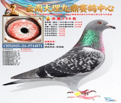 大理九鼎决赛230名