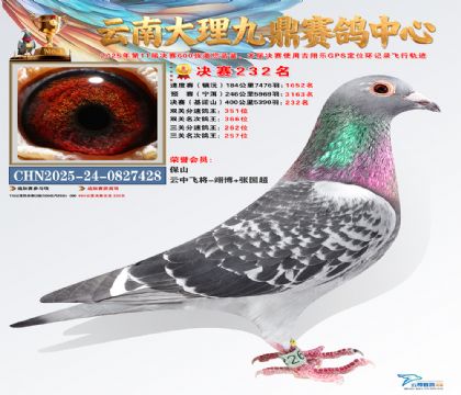 大理九鼎决赛232名