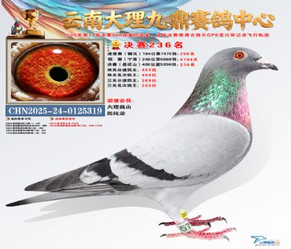 大理九鼎决赛236名