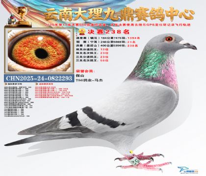 大理九鼎决赛238名