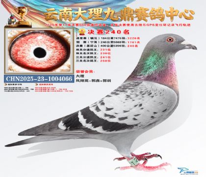 大理九鼎决赛240名