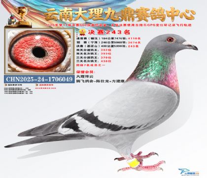 大理九鼎决赛243名