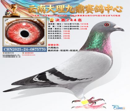 大理九鼎决赛244名