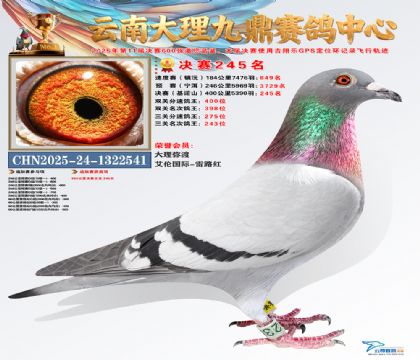 大理九鼎决赛245名