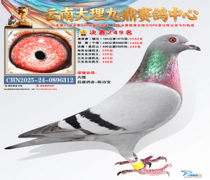 大理九鼎决赛249名