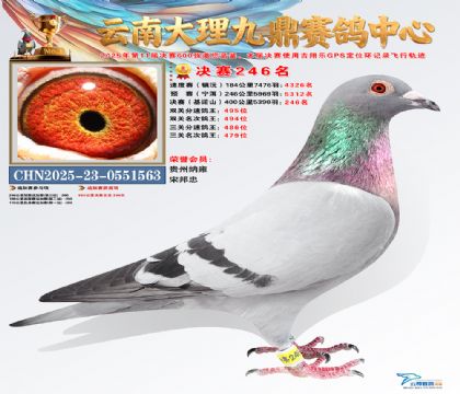 大理九鼎决赛246名